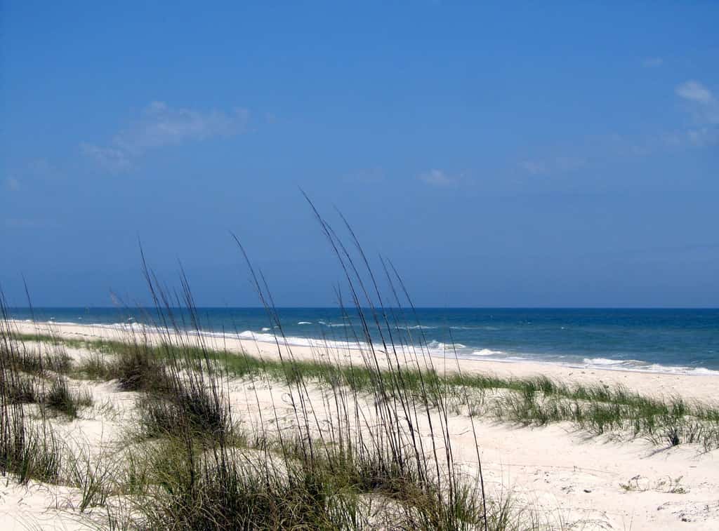 Panhandle Beaches Under Water Quality Advisories as Bacteria Levels Climb